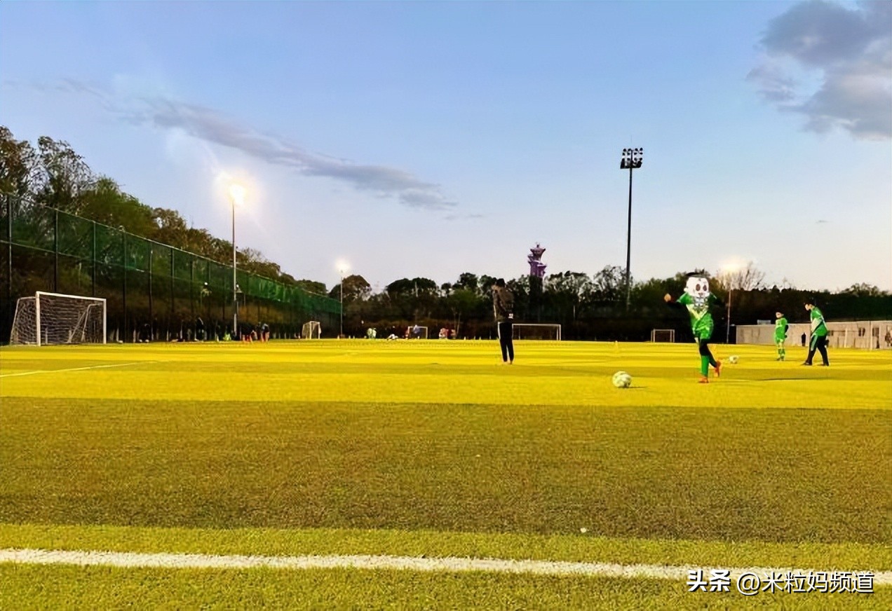 老母亲自学奥数、钢琴和二外：鸡娃鸡己这件事，真有那么难吗？