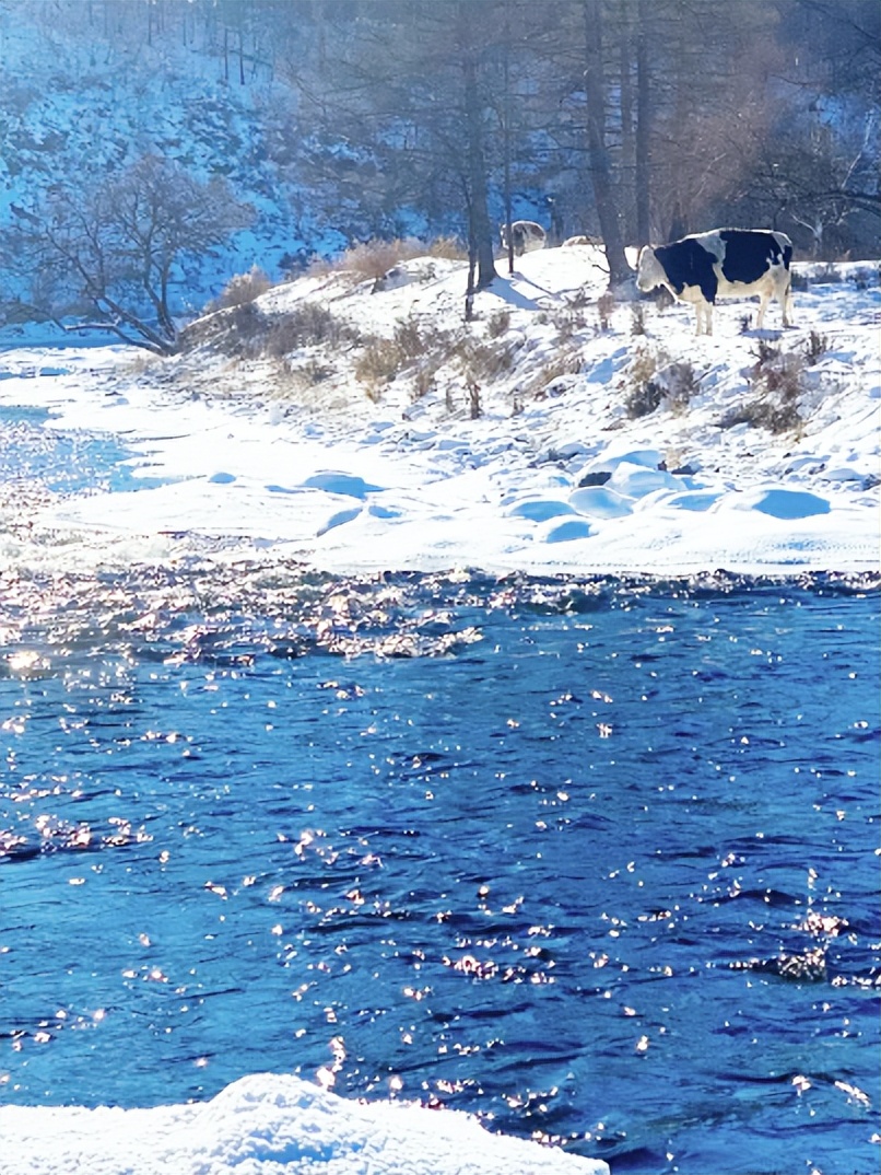 向北向北！|“美”在内蒙古