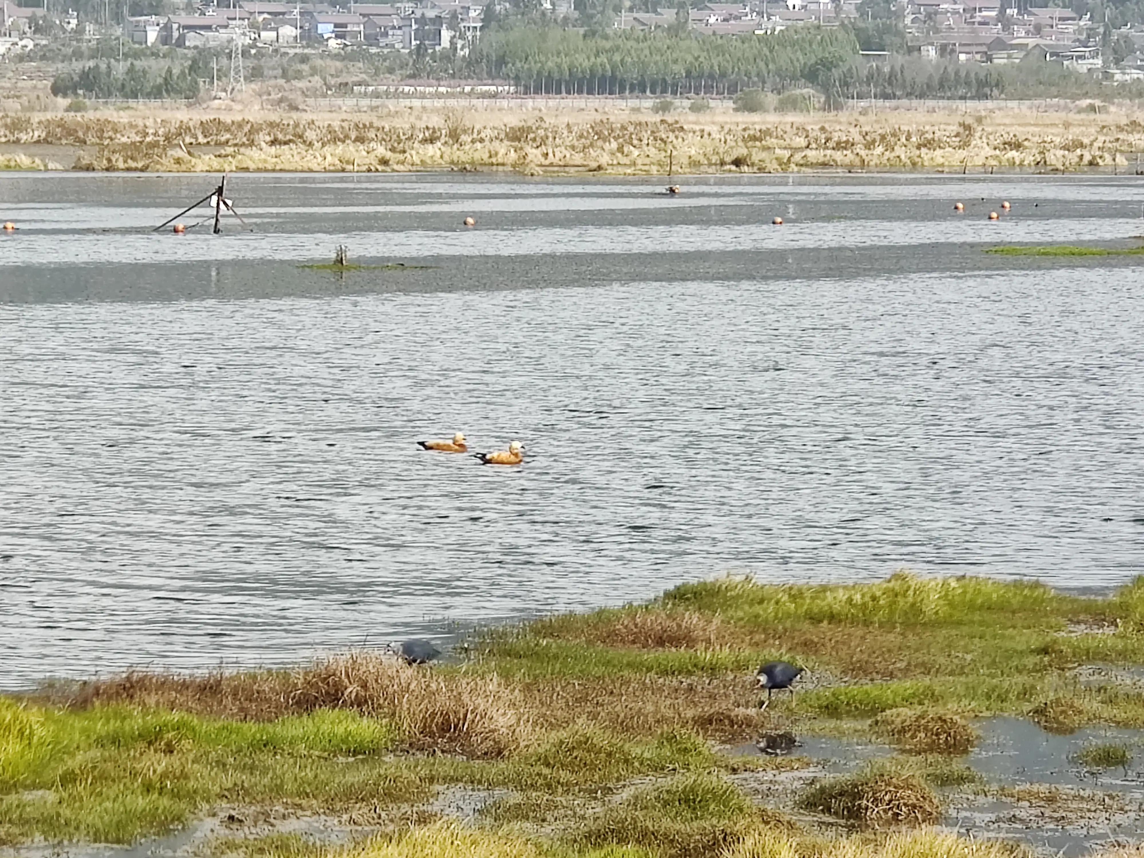 流浪生活27天视频,流浪36天云南腾冲