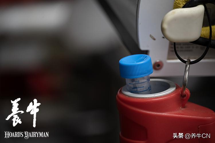 配种技术能不能缩短时间,提高受孕率的讲究