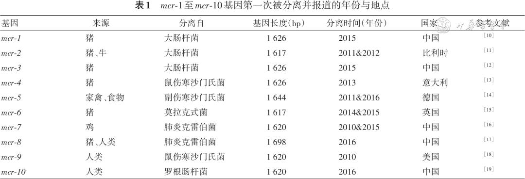 肺炎克雷伯菌治疗指南,耐肺炎克雷伯菌属于哪类