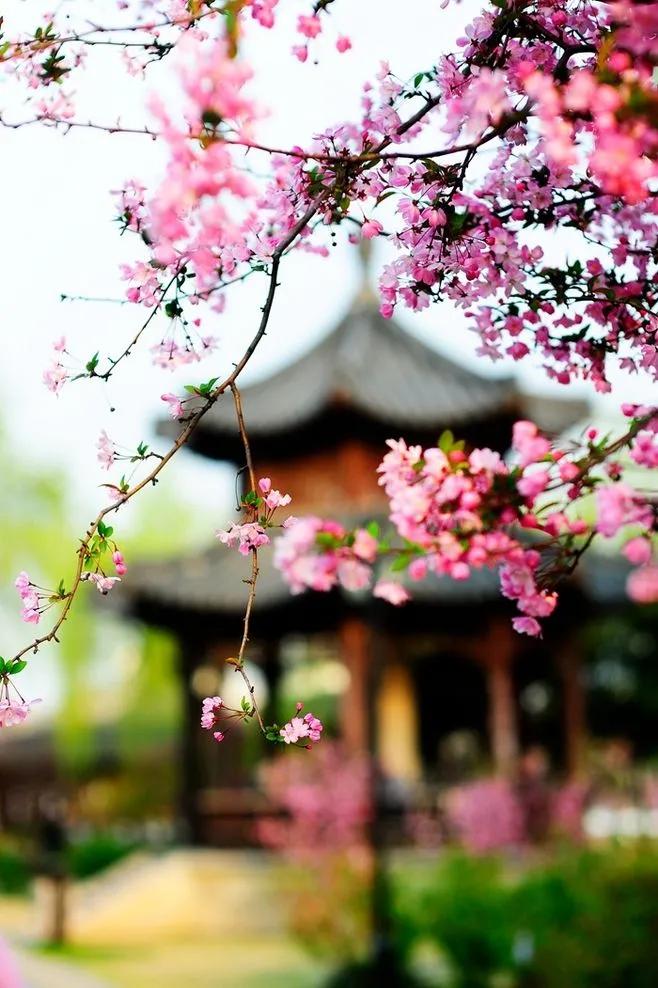 静等春暖花开抒情散文,春暖花开散文名家名作