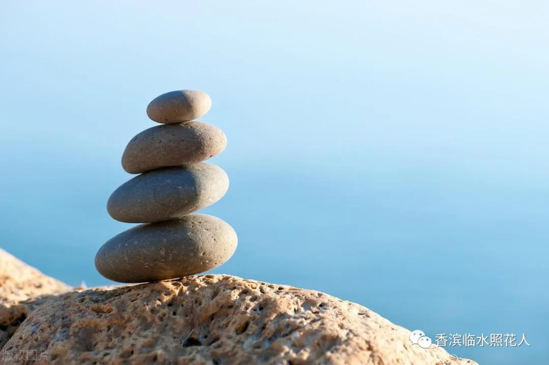 第十届创新作文大赛获奖作文,第十五届创新作文大赛作文题目