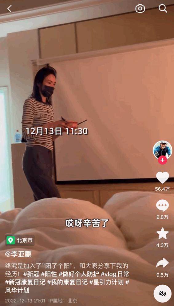 王菲感情里的最佳姿态,揭秘王菲的感情5段经历