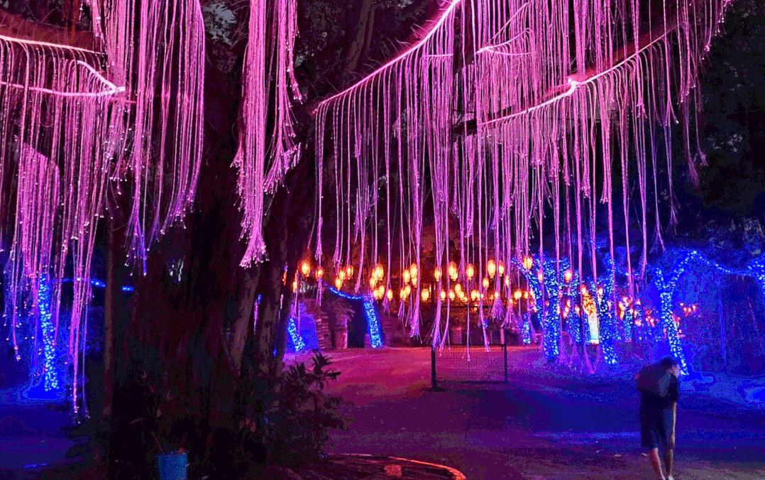 深圳观澜湖生态运动公社游玩攻略,深圳观澜湖乐园游玩