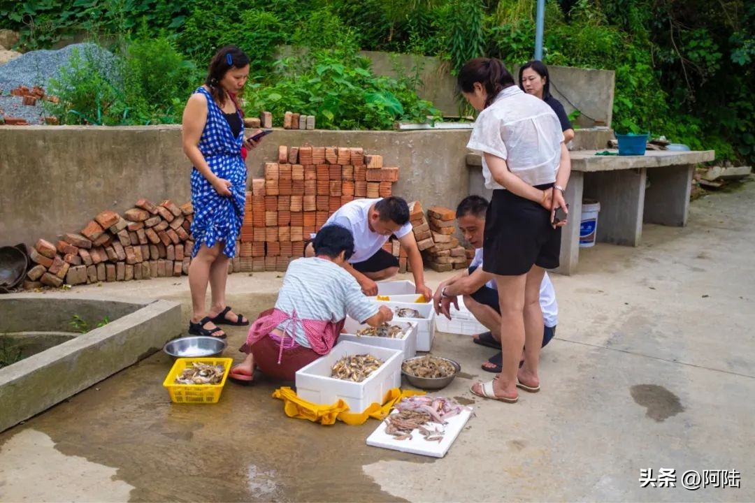 去舟山朱家尖住哪里方便,自驾游到舟山朱家尖怎么安排住宿