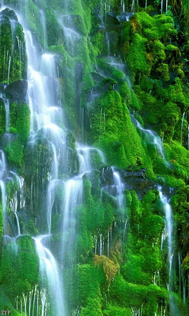 太美了100张人间美照,太美了最美中国红