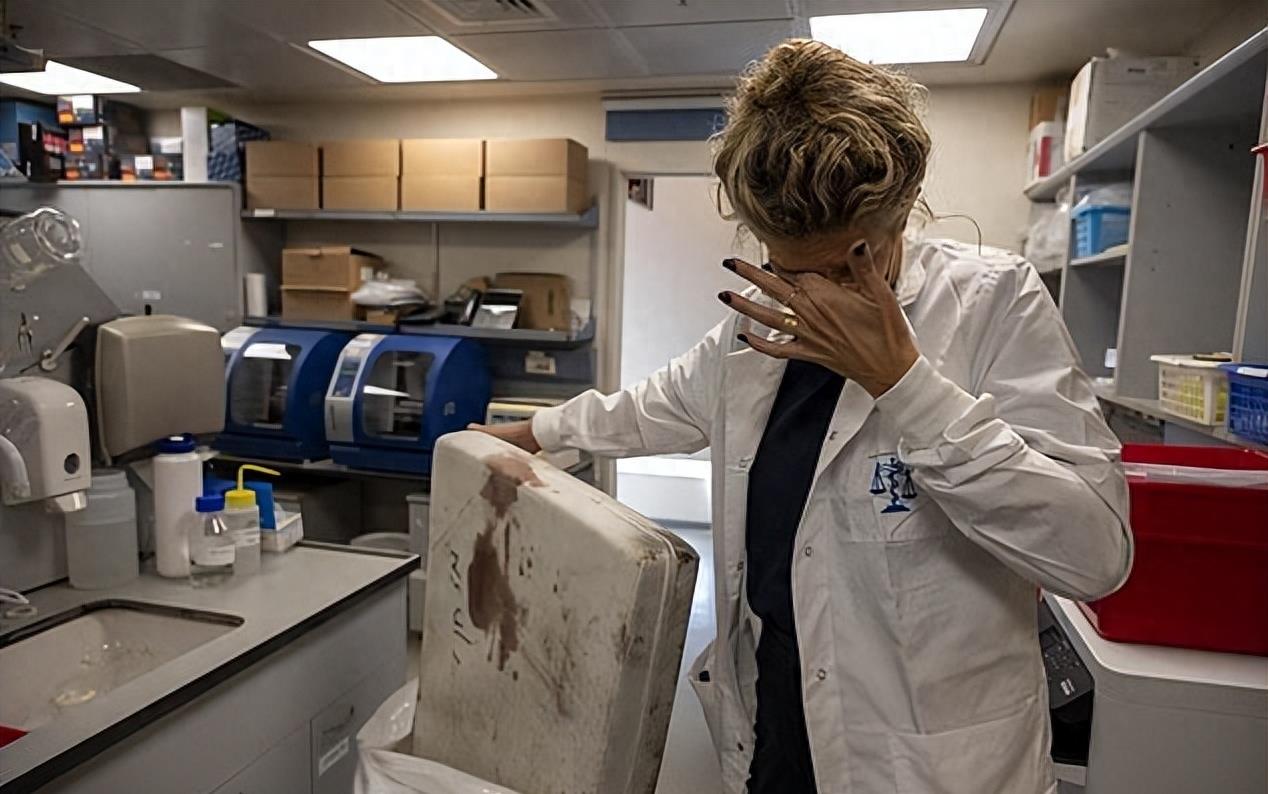 以色列法医鉴定遗体时崩溃,以色列法医崩溃描述被屠杀者死因