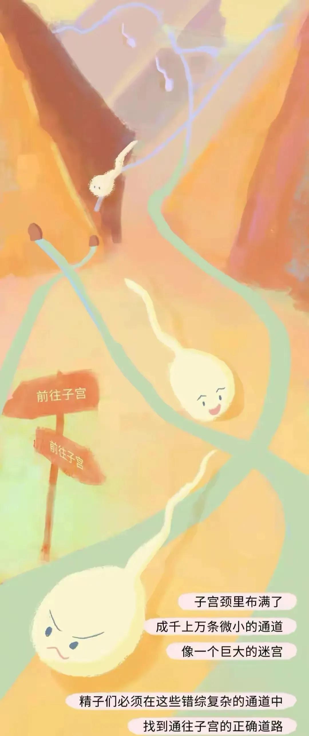 如何怀孕具体步骤图片,怎样才会怀孕简单的图片