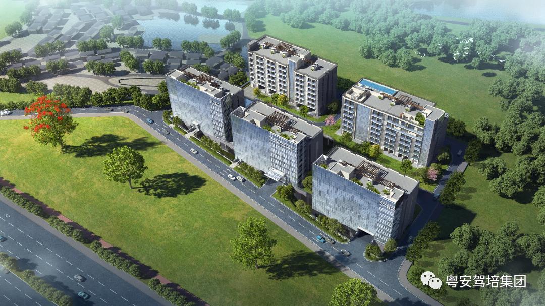 粤安驾校南沙横沥,粤安驾校荔湾