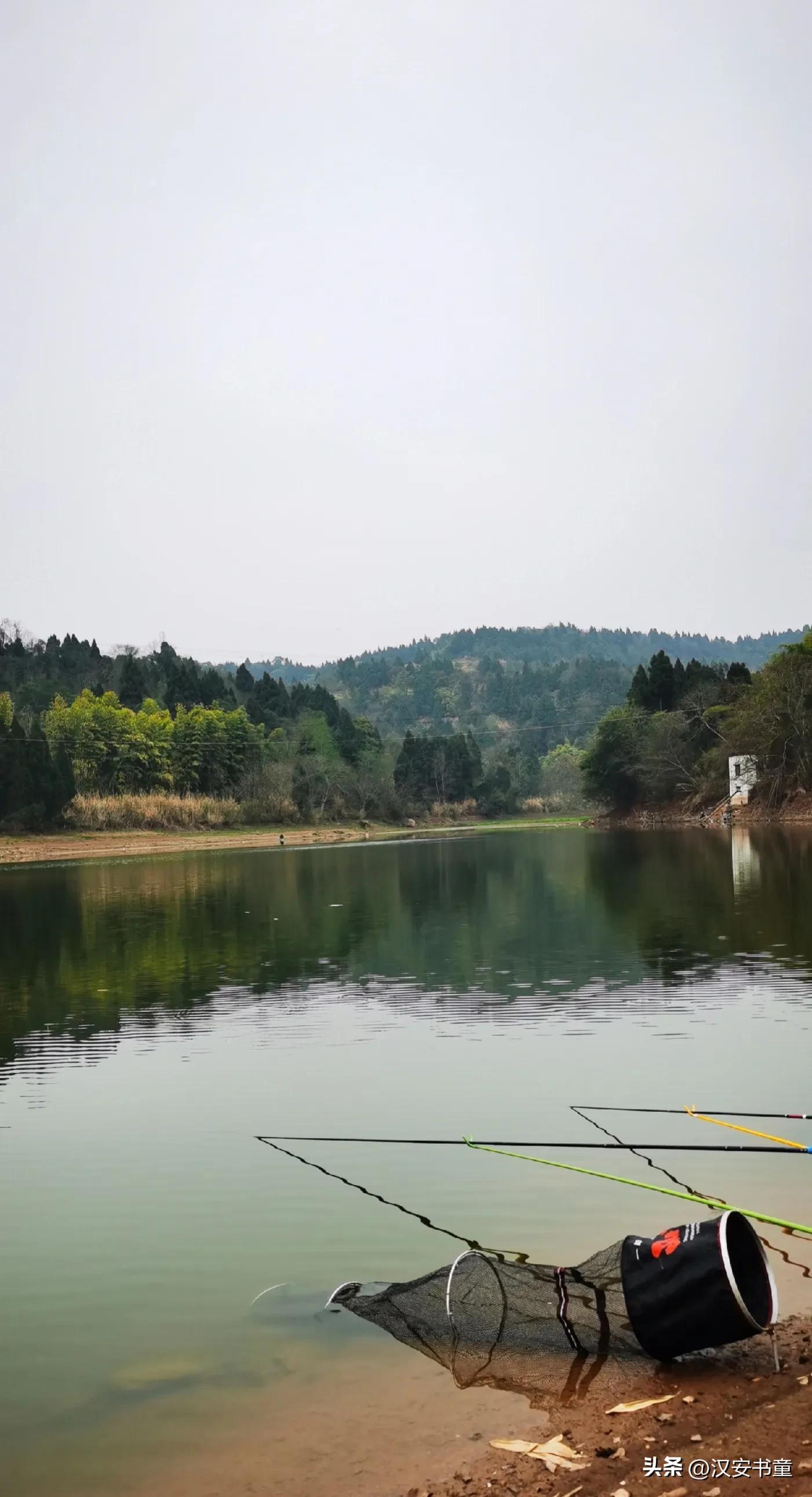 鲫鱼产卵的时候怎么调漂,鲫鱼岸边产卵前好不好钓