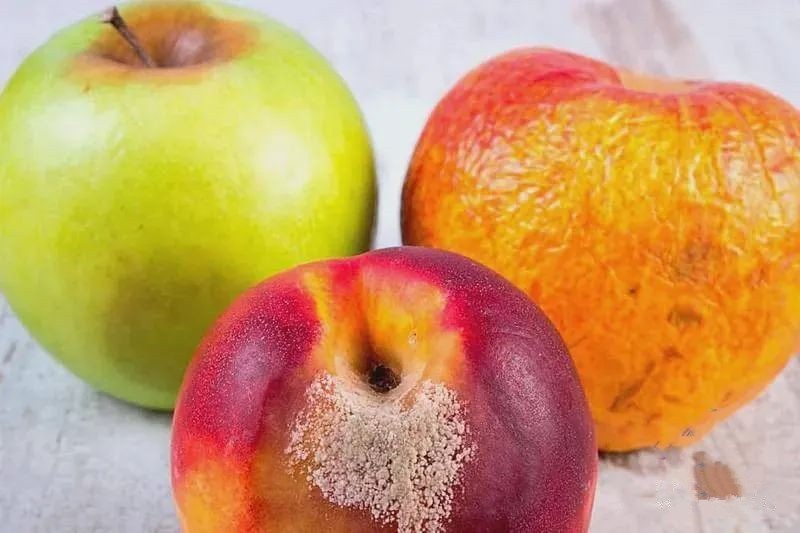 马上停止吃这6种食物,马上停止吃这五种东西副作用大