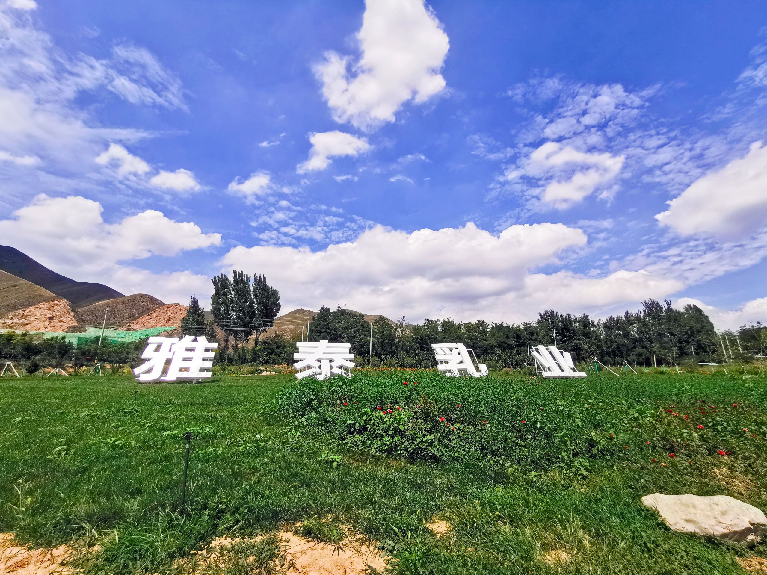 珍纽倍婴儿配方羊奶粉如何,珍纽倍羊奶粉和君乐宝哪款好一点