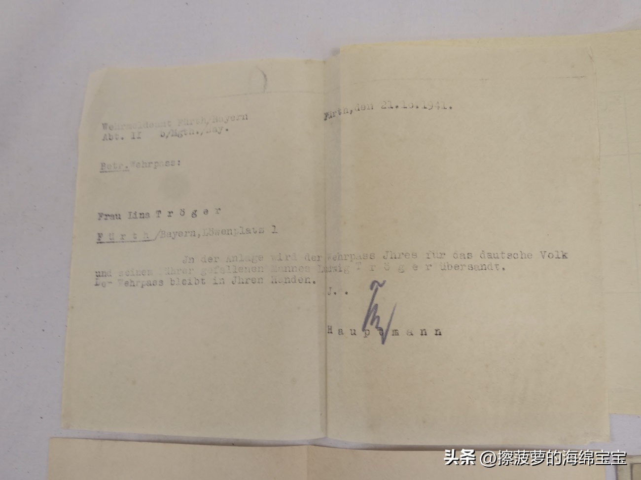 二战时德国军人的肩章,二战德国兵种领章