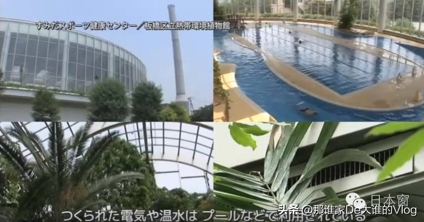 日本人为何自觉分类垃圾,为什么日本的垃圾分类做得这么好