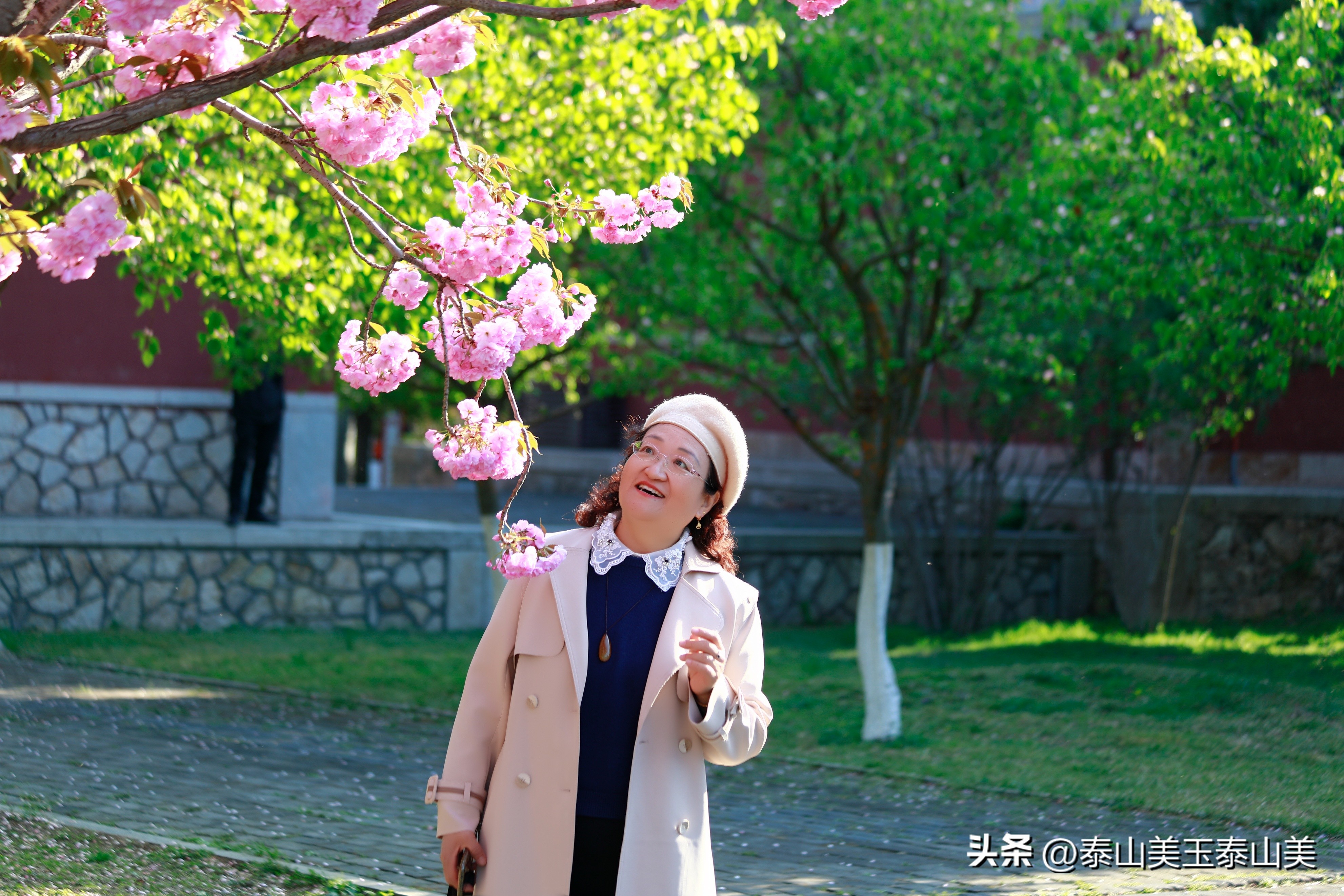 山亭寺沟樱花,定山溪樱花