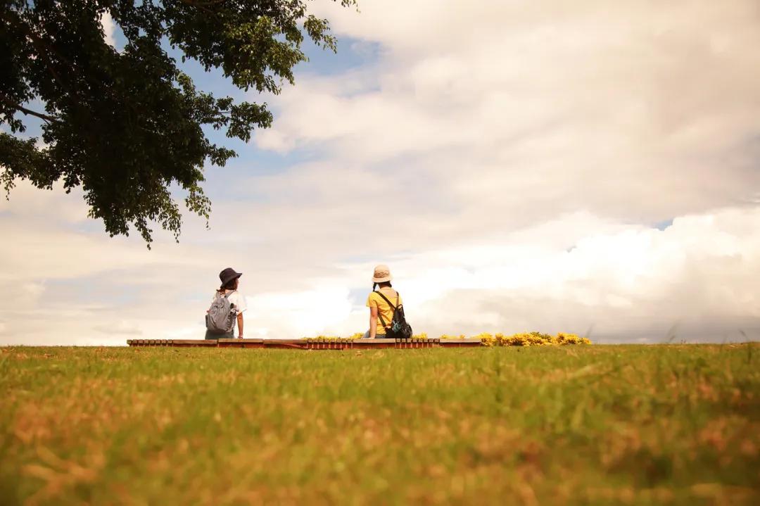 最舒服的关系就是各自轻松,真正舒服的关系是各自带着凉薄