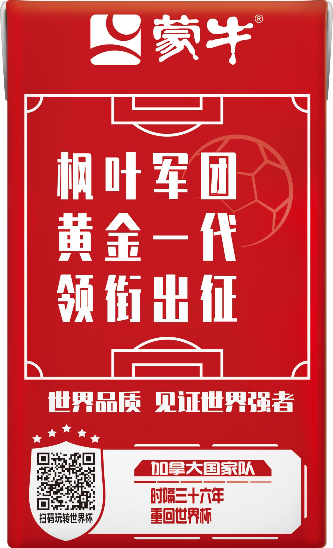 世界杯队长手记,世界杯队长纪录片葡萄牙