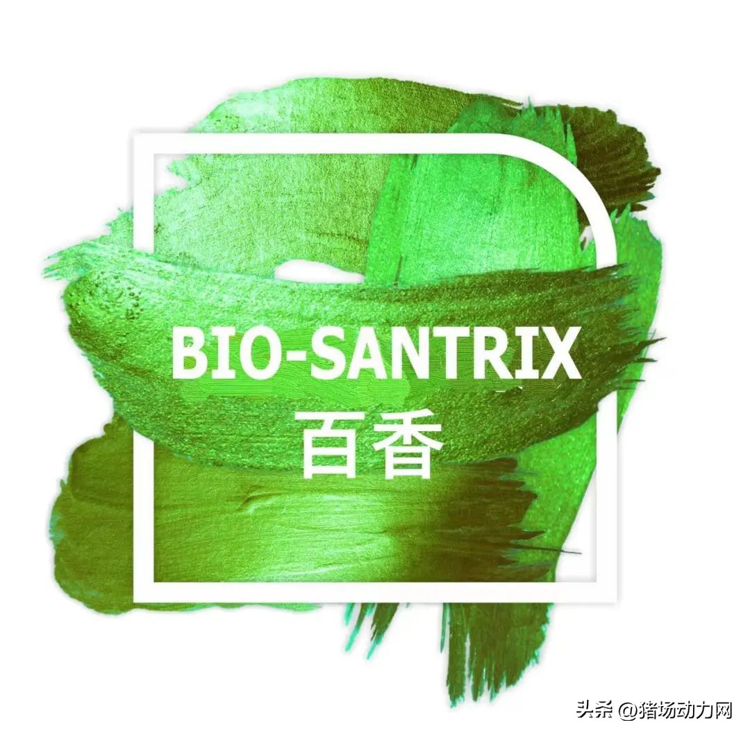 高度关注！禁抗下，植物提取物百香佳、百香对猪增生性肠炎的疗效