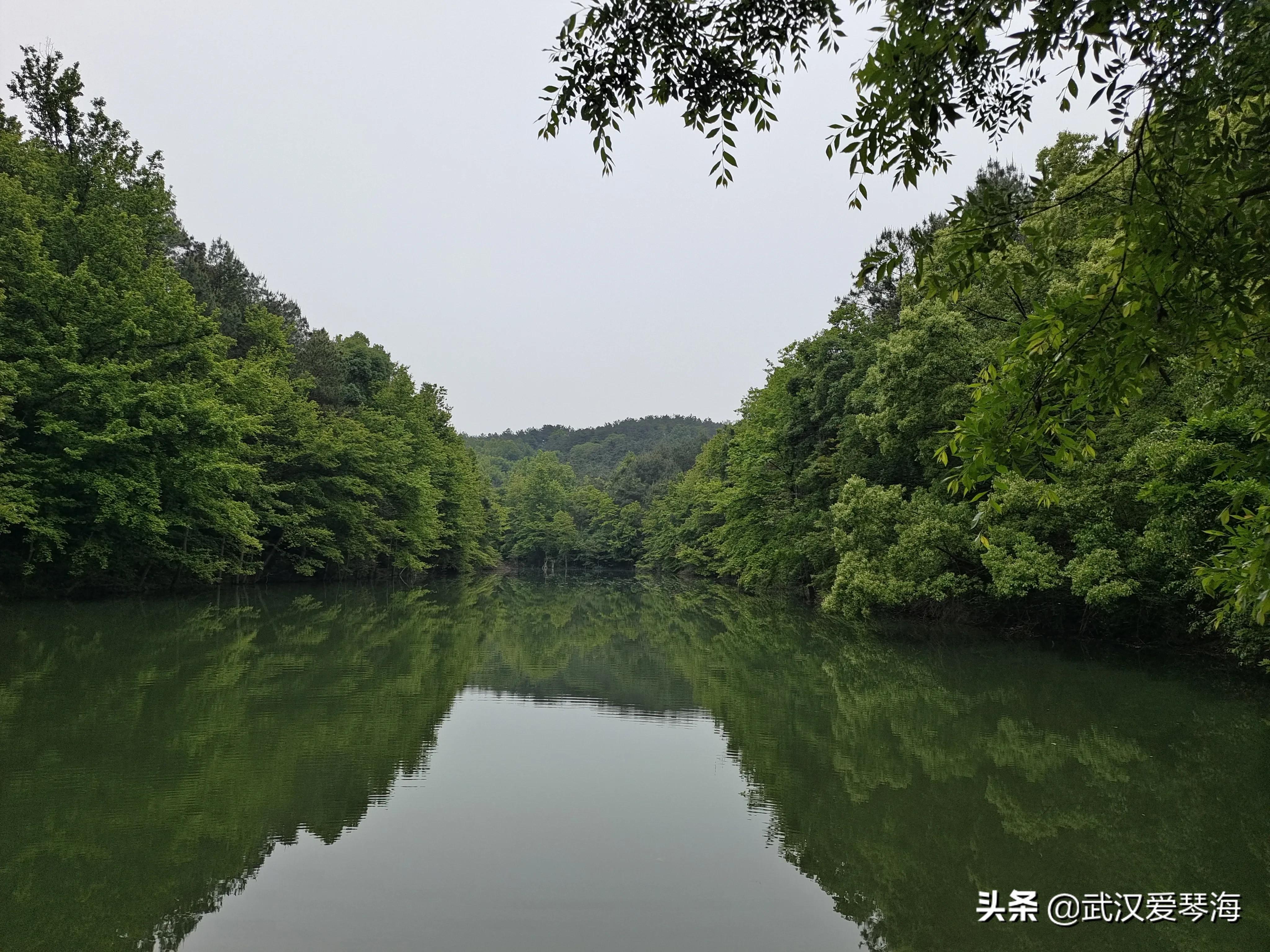 武汉青龙山爬山,武汉热门旅行线路青龙山穿八分山