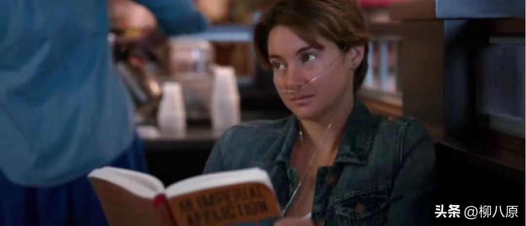 星运里的错美国电影简介,星运里的错电影解析