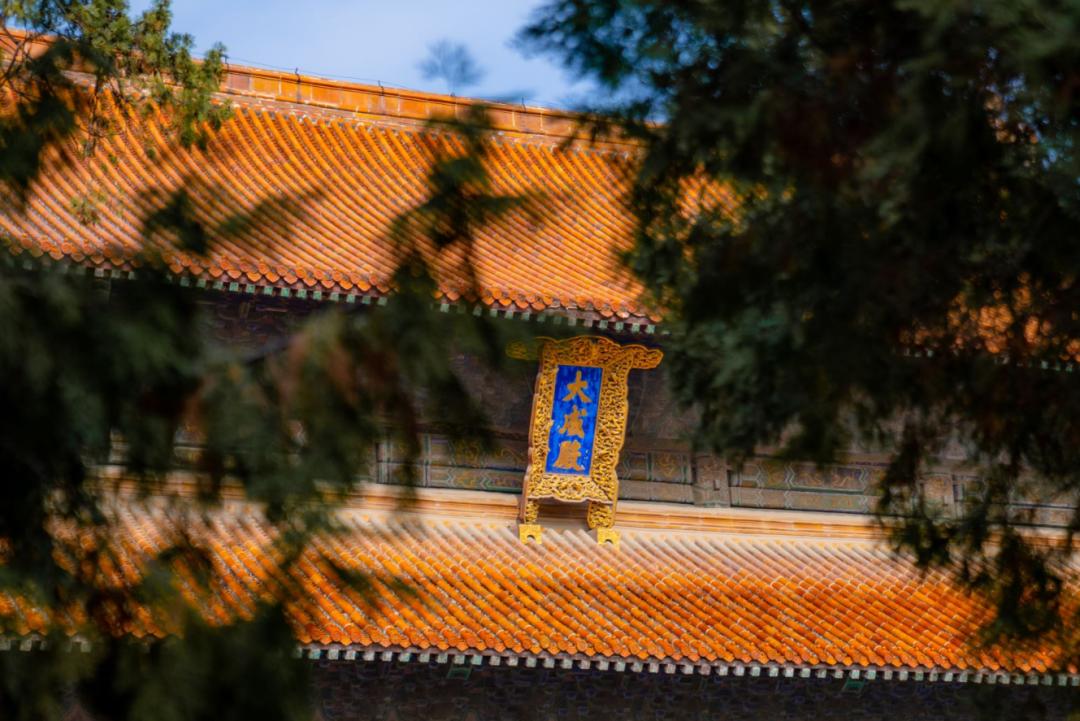 幸福旅程，今天，免费玩！（附宠粉大礼包，让快乐加倍）