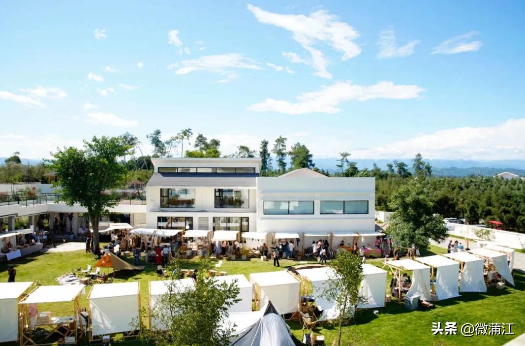 蒲江绿色生态屏障,蒲江县森林资源保护