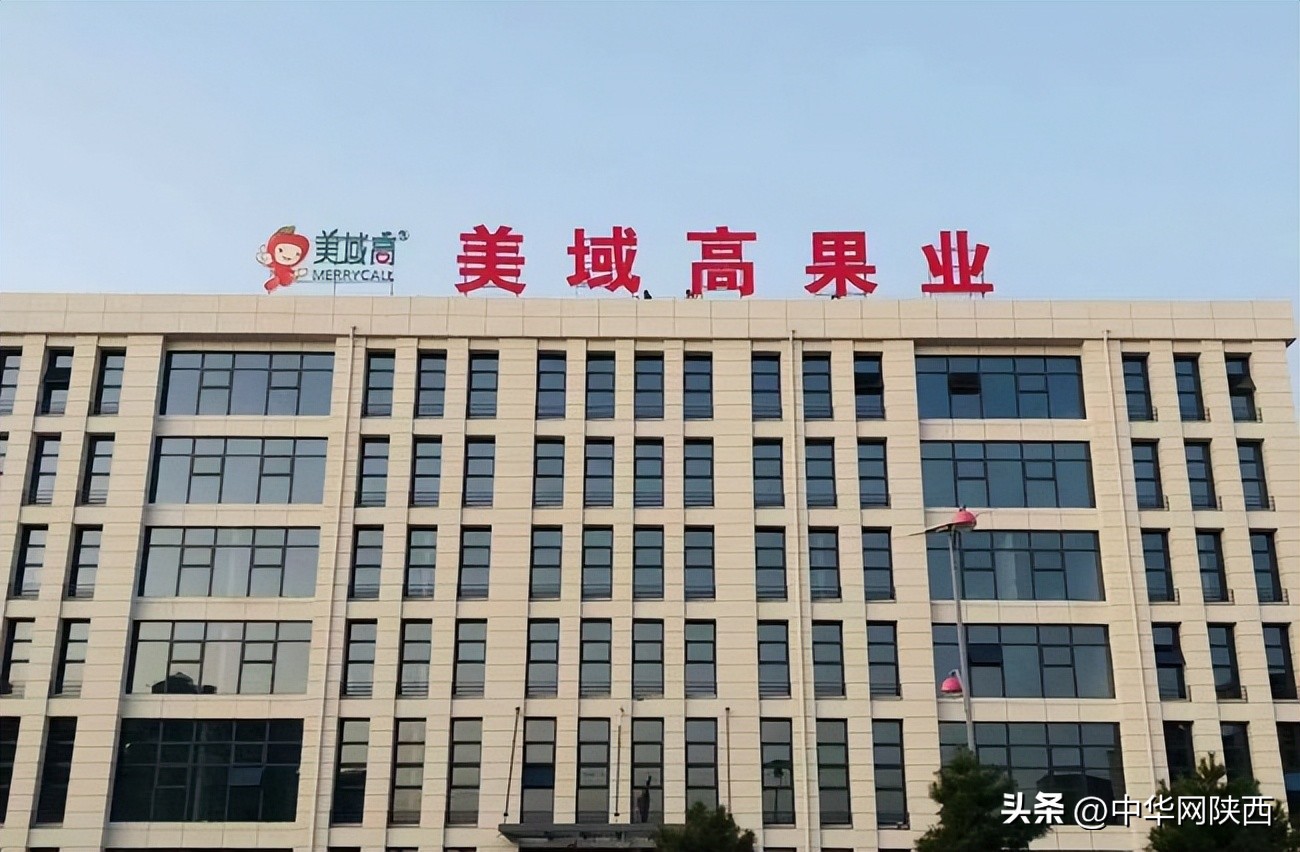 益起来公益捐步截图,益起来种树