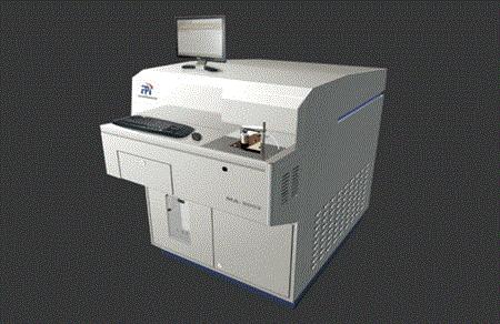 公母豚鼠体型对比,豚鼠雌雄区别