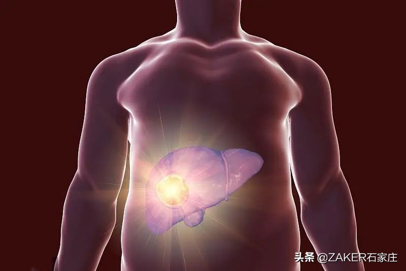 ZAKER石家庄早新闻4.20｜塔北路道路工程贯通；春季高层次人才云端招聘活动今日启动；这些儿童口罩未达标...