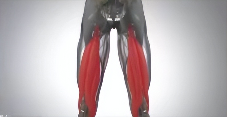 适量吃脂肪类食物可预防老年痴呆,七种推荐食品预防老年痴呆