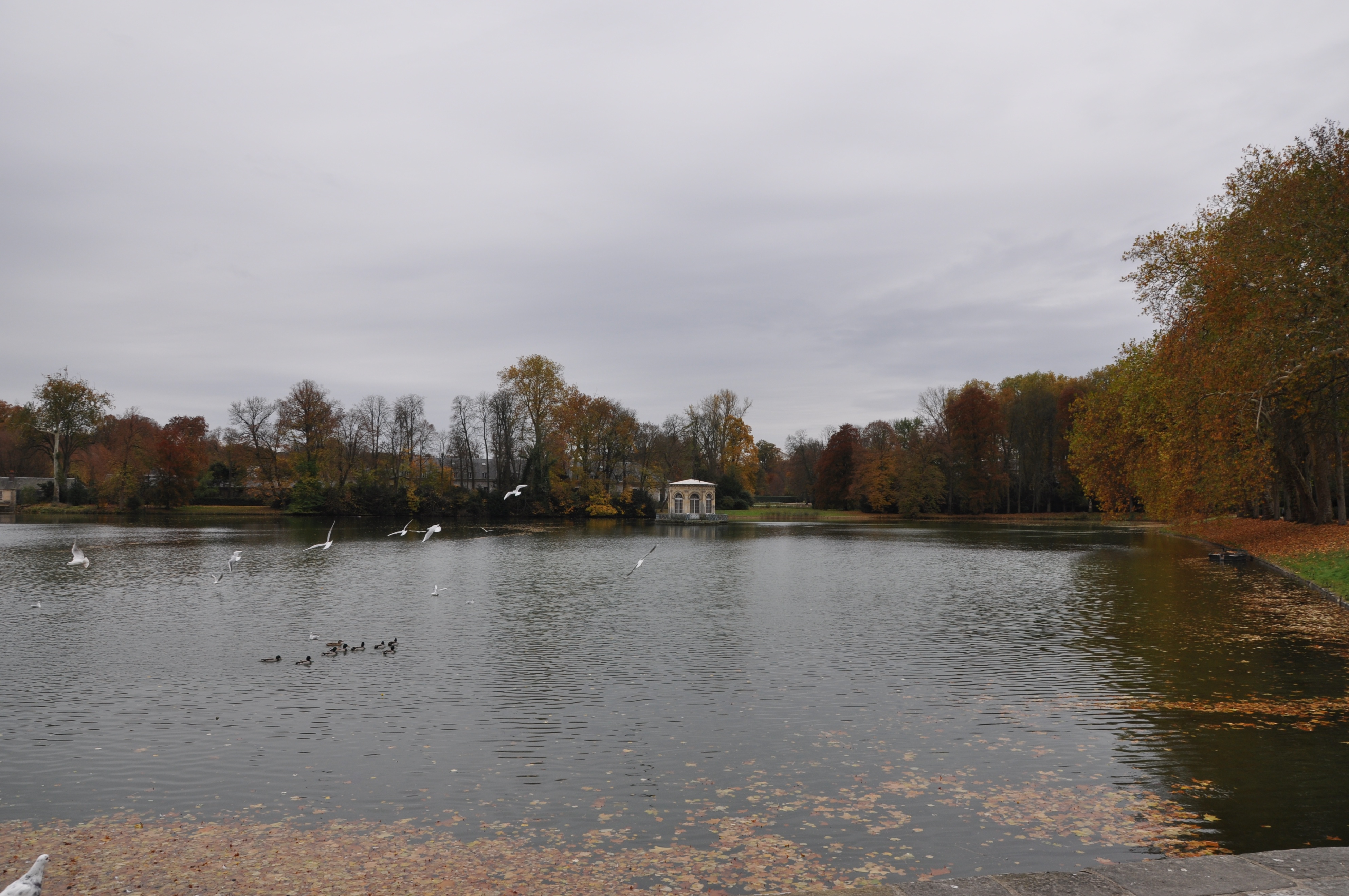 枫丹白露宫名字由来,枫丹白露宫殿俯视图解