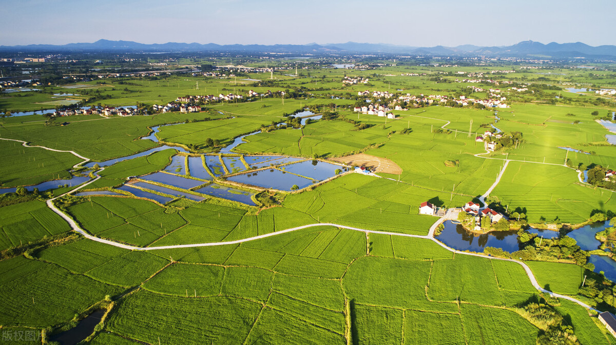 湖南省2023年水稻二化螟综合防控技术方案