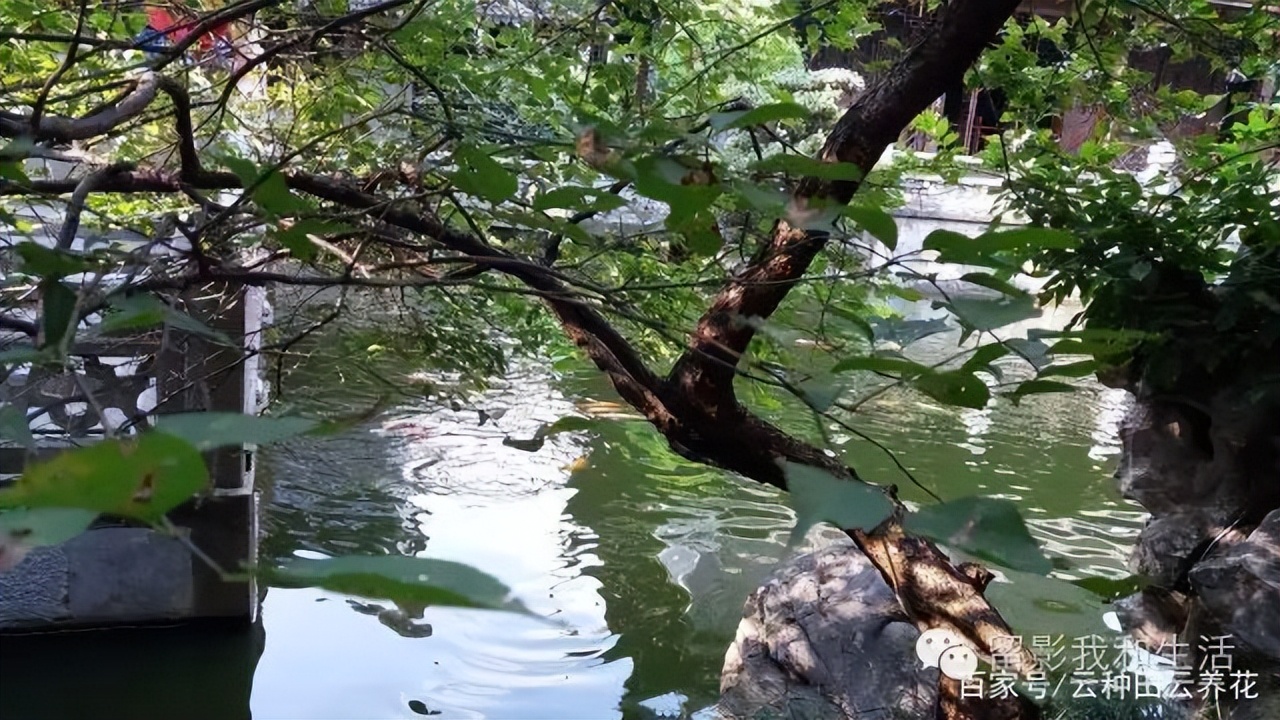 2017杭州中国行,2013年杭州行