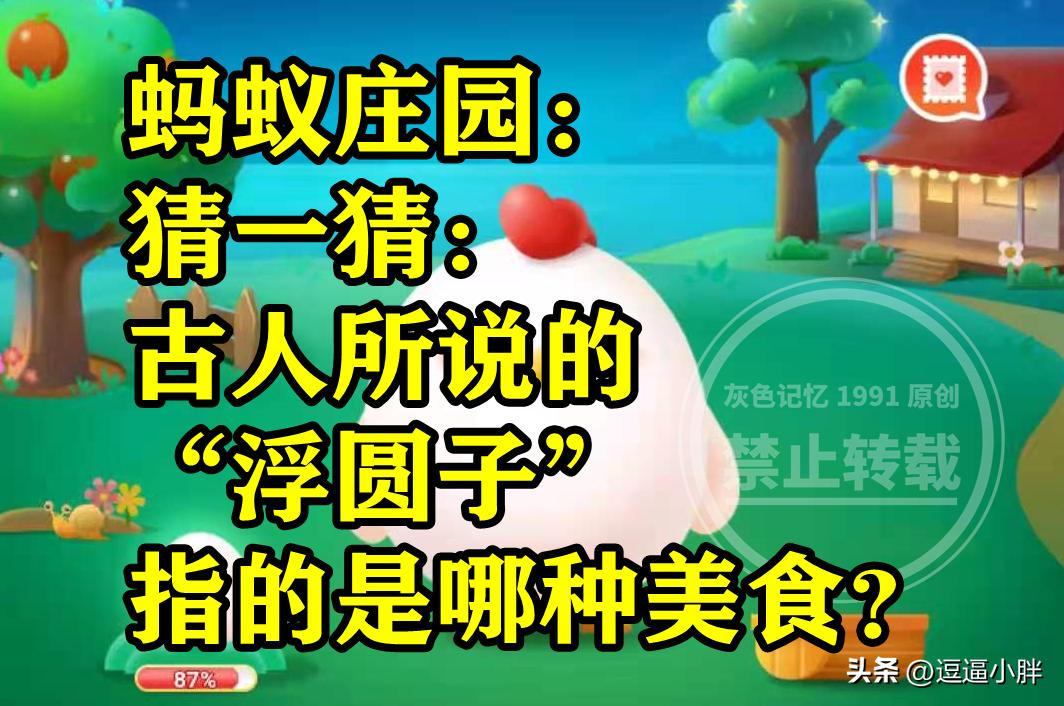 古人说的浮园子指的是哪种美食,古代的浮圆子是什么美食