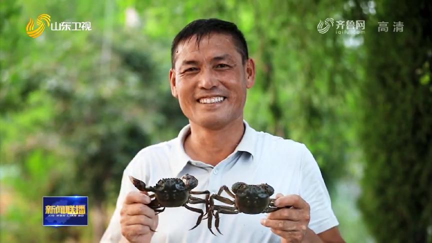也是有故事的“鱼虾蟹”，看山东怎样向江河湖海要食物
