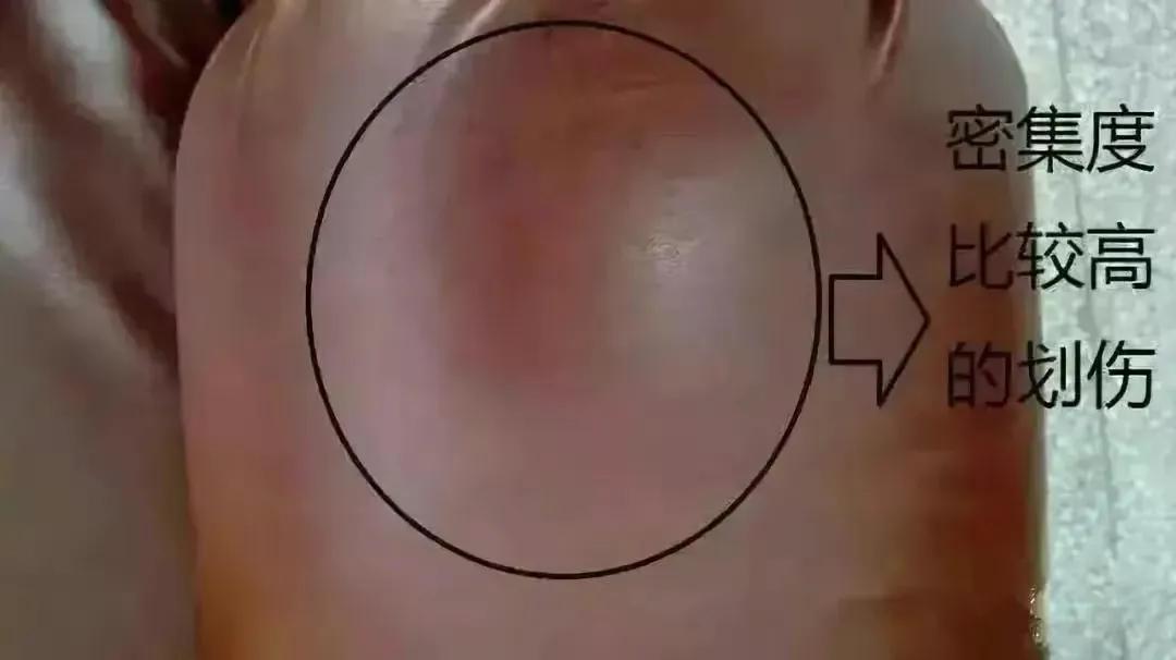 买回家的沙发有伤痕?你买回去的是一头有故事的牛