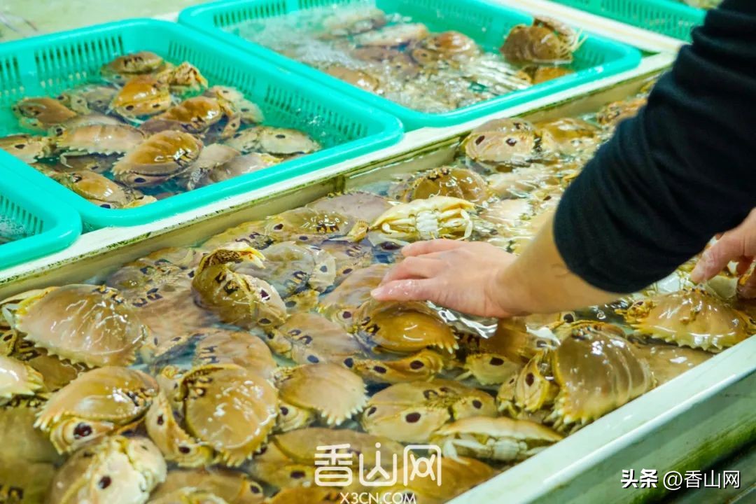 珠海专门吃海鲜地方,珠海海鲜市场吃海鲜哪里便宜