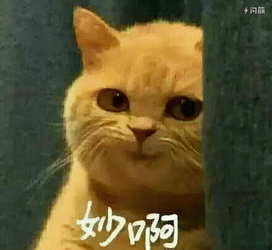 pvc塑料会掉价吗,pvc塑料哪个好又便宜