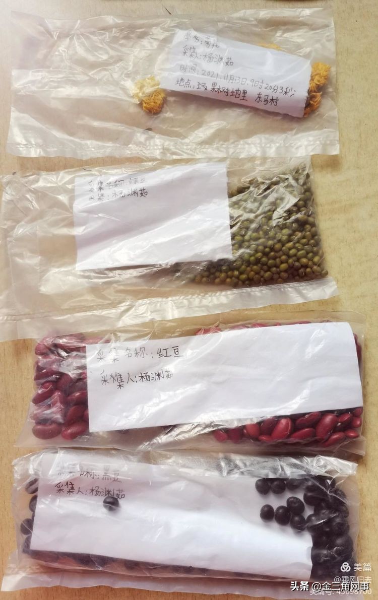 临猗庙上初中推进并践行植物标本课程