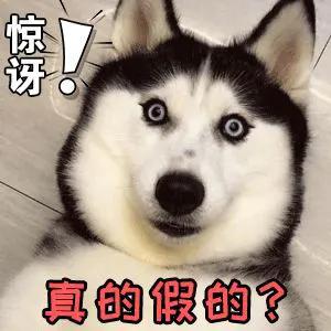 清明节不吃什么东西,清明节不买鞋不借钱不生火