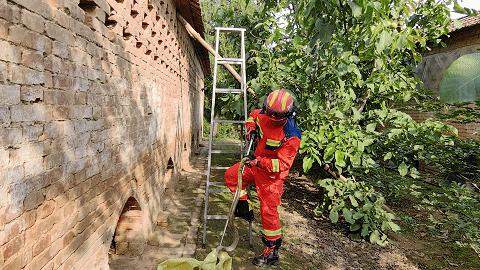 洛阳市幼儿园一键报警,警惕一幼儿园50多名学生感染