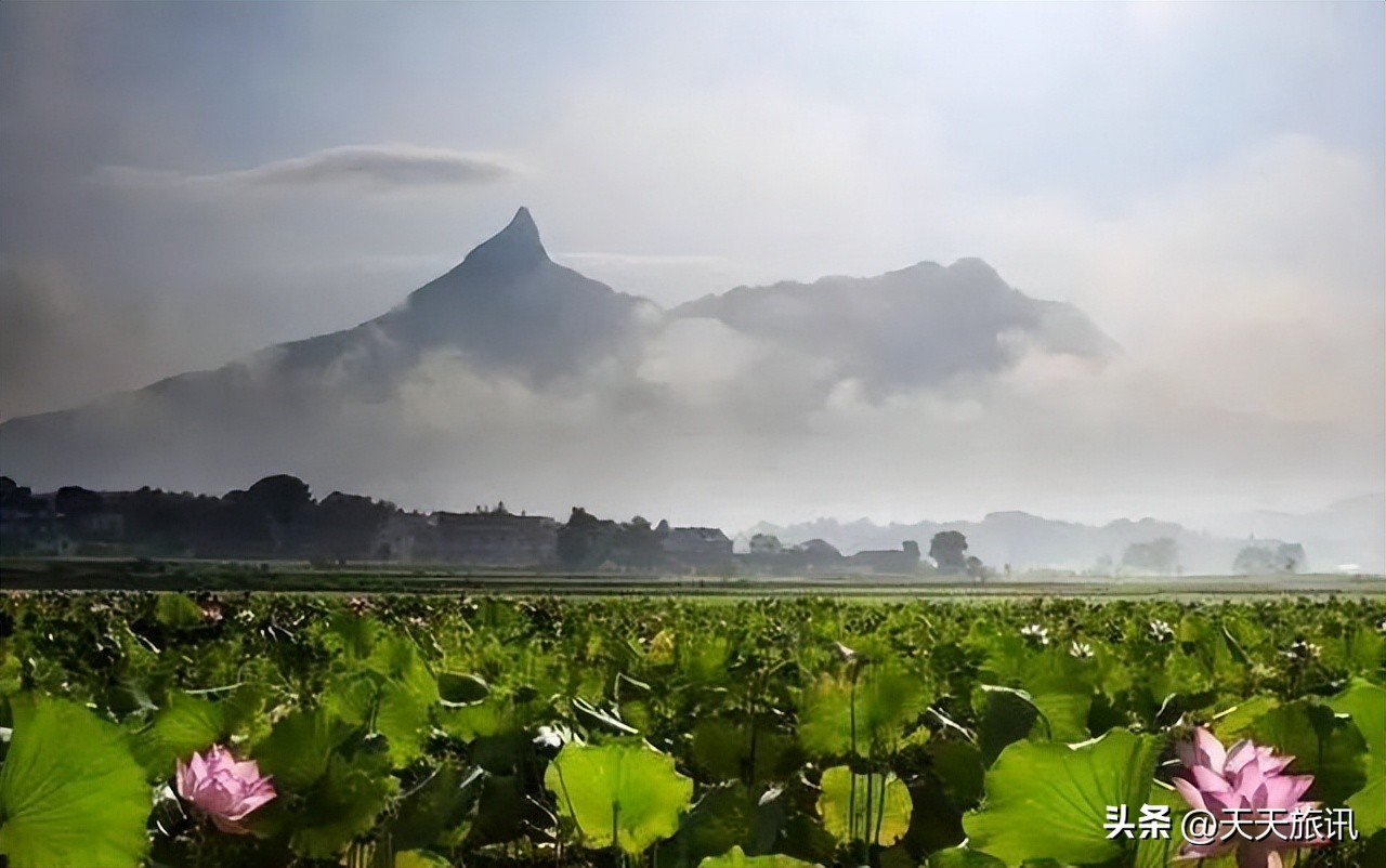 安徽天然氧吧地区名单,安徽最好的天然氧吧景区