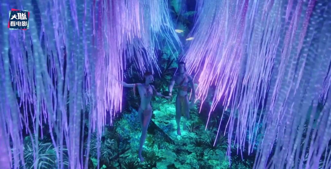 阿凡达细节讲解,阿凡达2全过程讲解