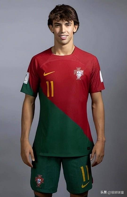 鲁能的十大球星,鲁能潍坊杯走出的球星