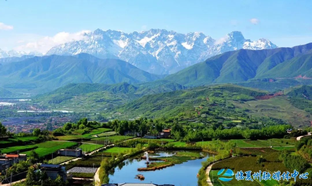 2024骞村宸磋兒閰嶈壊,缁胯壊鐨勫宸磋兒閰嶈壊