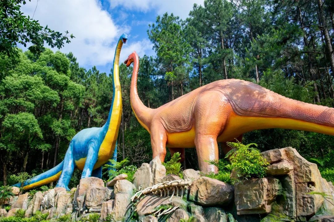 清远佛冈熹乐谷温泉度假酒店,清远佛冈森波拉度假酒店团购