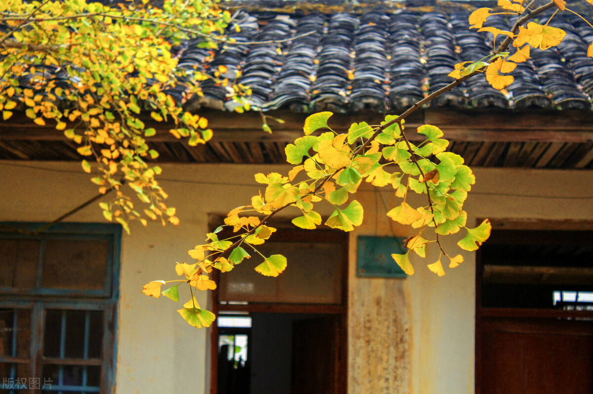 韶关县级区划图,韶关划入哪个省