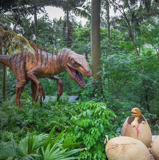 广州长隆野生动物园全部动物,广州长隆野生动物园所有动物介绍