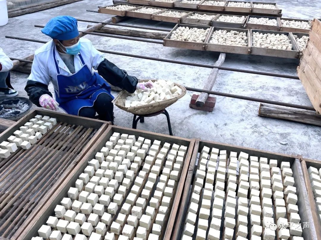 豆腐小作坊赚钱,豆腐小作坊发展规划